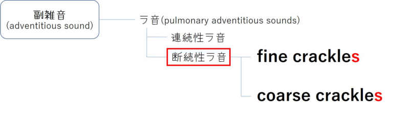 副雑音の分類